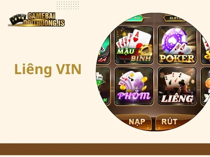 Liêng VIN